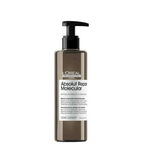 Serum Absolut Repair Molecular Expert Loreal 250 ml