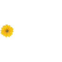 Brische